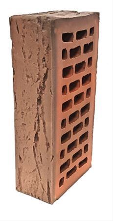 1NF Готика Старый Дуб