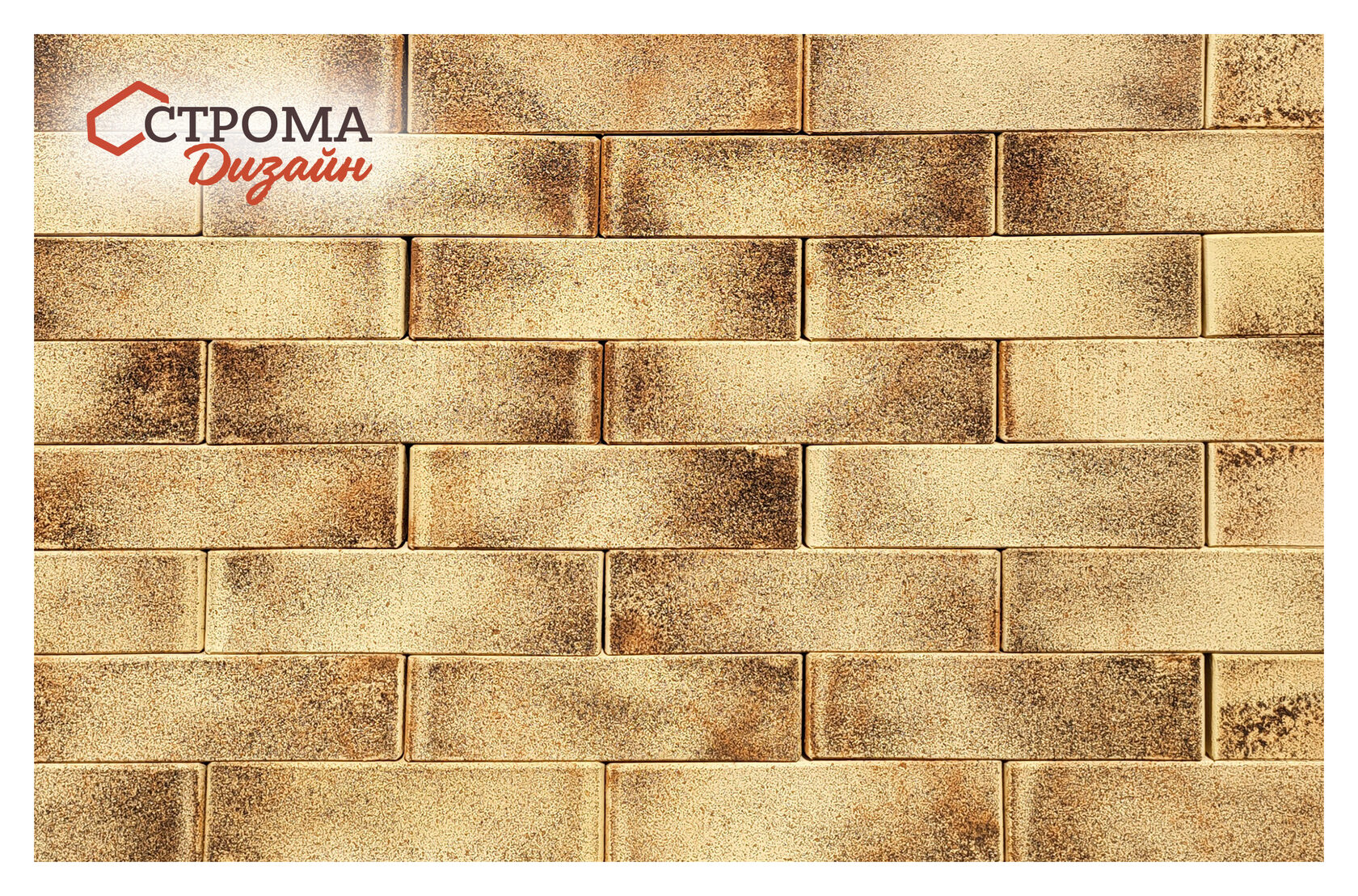 Солари 1.4НФ